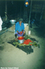 Preparing a bulume sauce