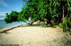The Malagan Lodge Resort Pic 1