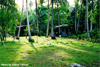 Toliwai Residence