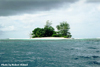 Ral from the sea