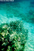 Underwater Pic 4