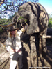 Feeding an elephant at Addo National Park