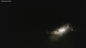 Amakhala Lions At Night 1