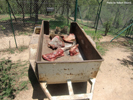 Antelope Park, Zimbabwe, Feeding