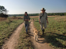 Antelope Park, Zimbabwe, Lion Walk 06