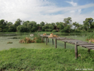 Antelope Park, Zimbabwe, Lodges 01