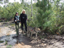 Tenikwa cheetah, Robert Eklund and Miriam Oldenburg walking Zimbali